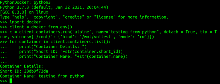 Salida de script Python mostrando detalles de contenedor Docker con ID y nombre.