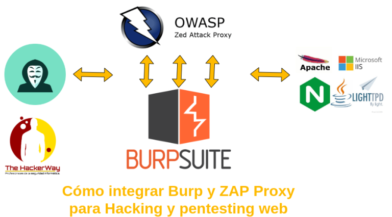 Diagrama de integración de Burp Suite y ZAP Proxy con servidores web para pentesting y hacking ético.