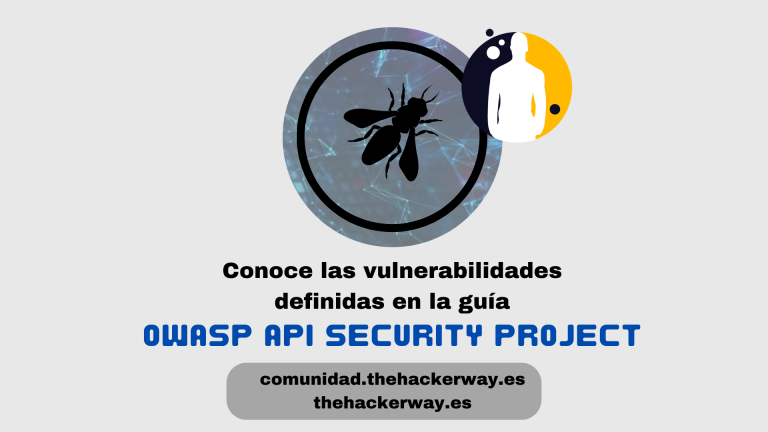 Infografía que muestra las vulnerabilidades clave del proyecto OWASP API para mejorar la seguridad API.