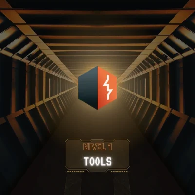 Burp Professional Nivel 1